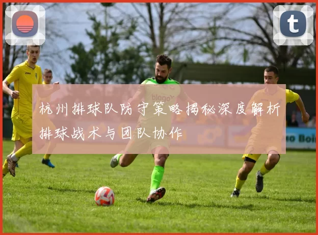 杭州排球队防守策略揭秘深度解析排球战术与团队协作