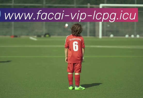 爱游戏体育注册APP 封面图